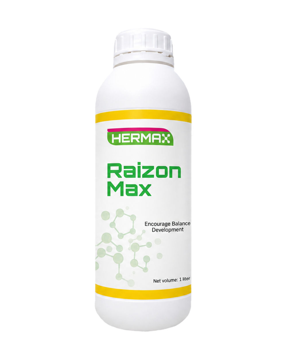 Raizon Max
