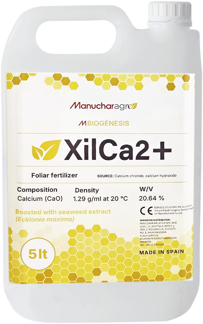 XilCa2+